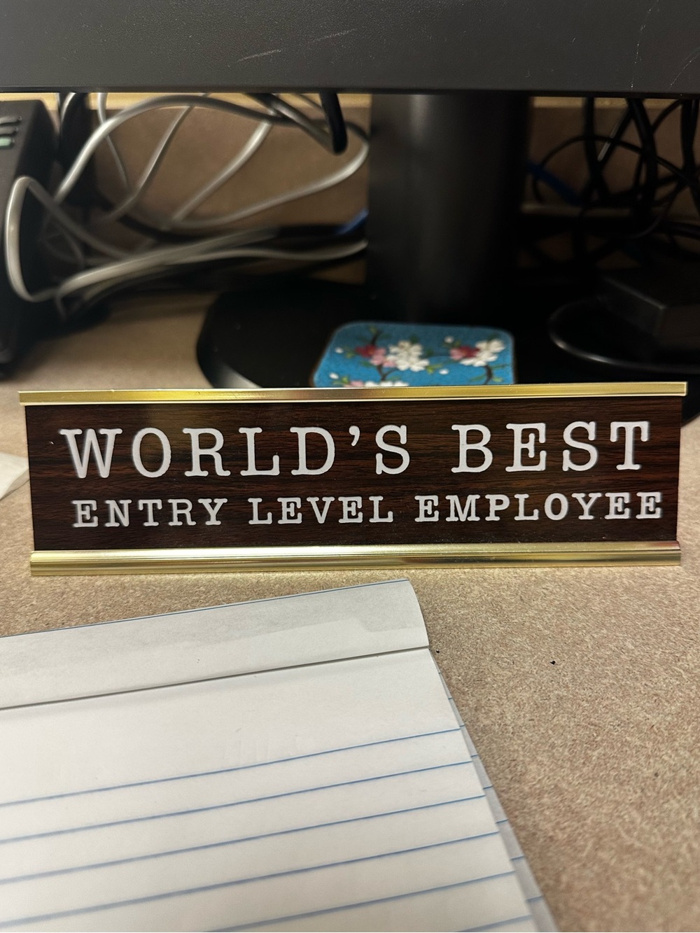 World's Best Entry Level Employee Desk Name Plate - Brown